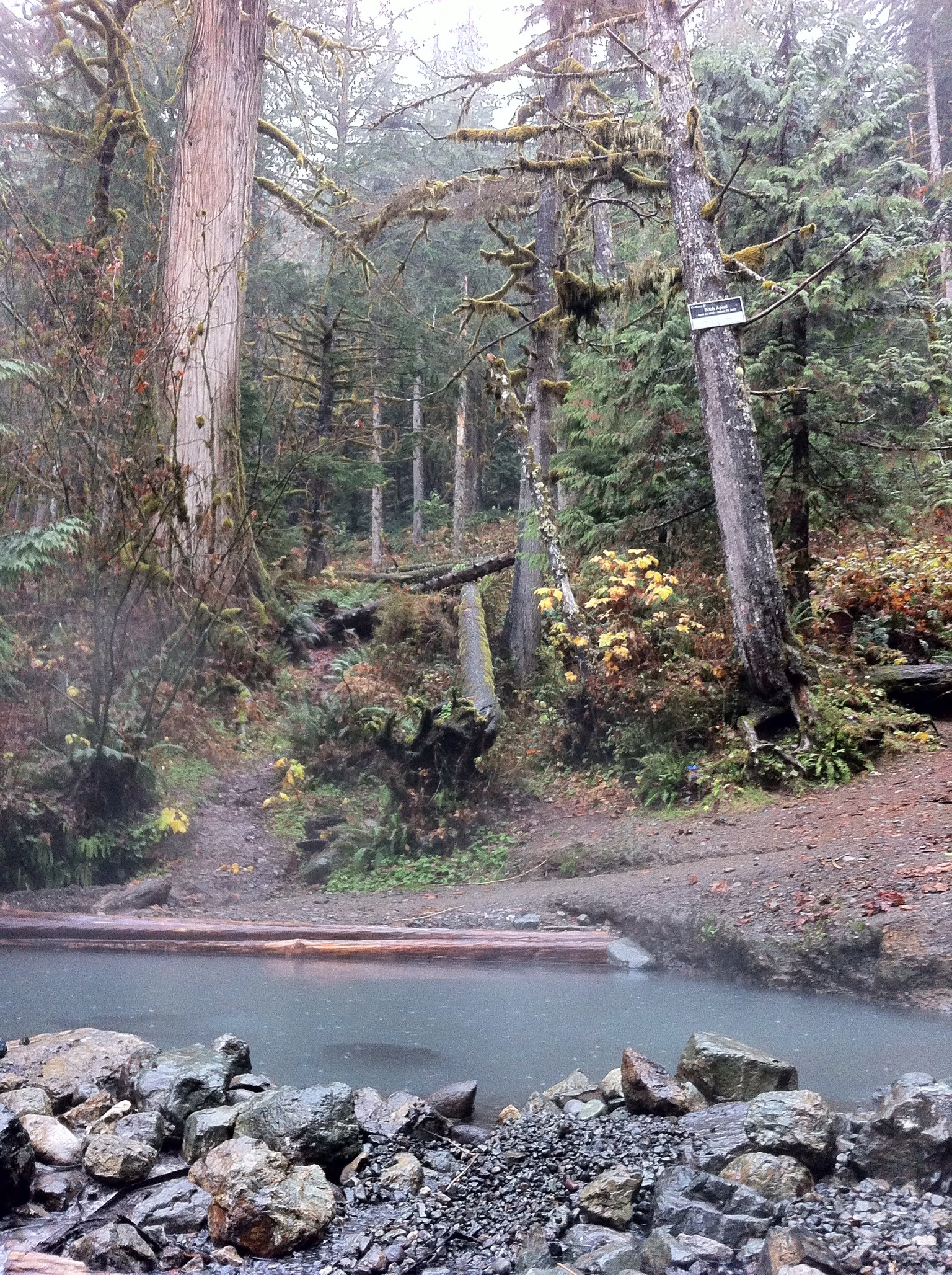 Baker Hot Springs — Washington Trails Association